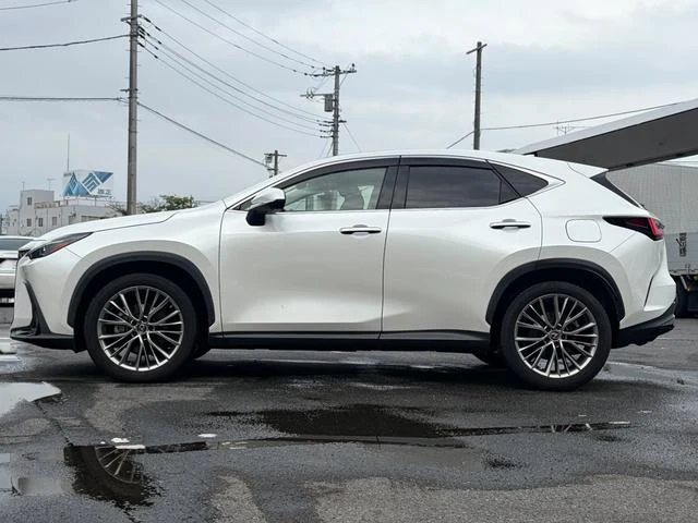 Lexus NX 68