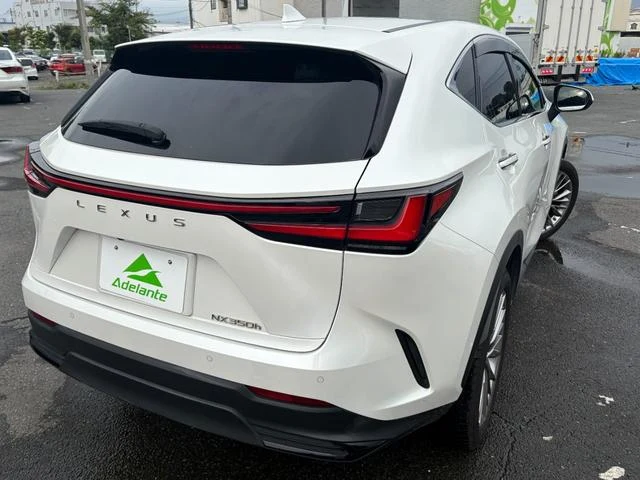 Lexus NX 61