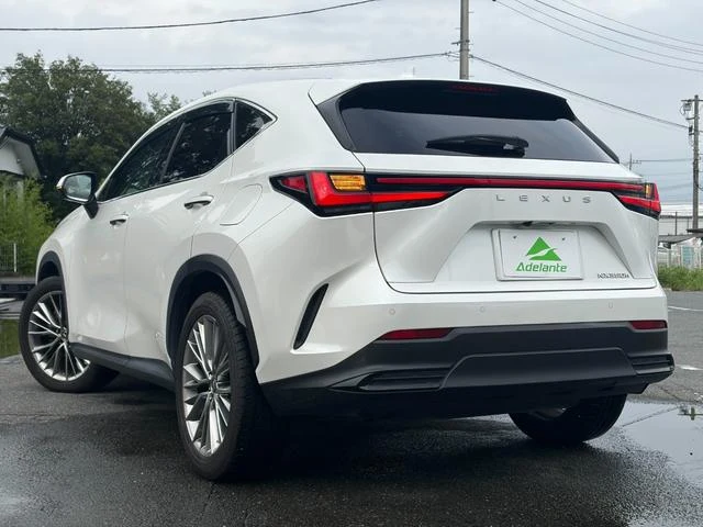 Lexus NX 65