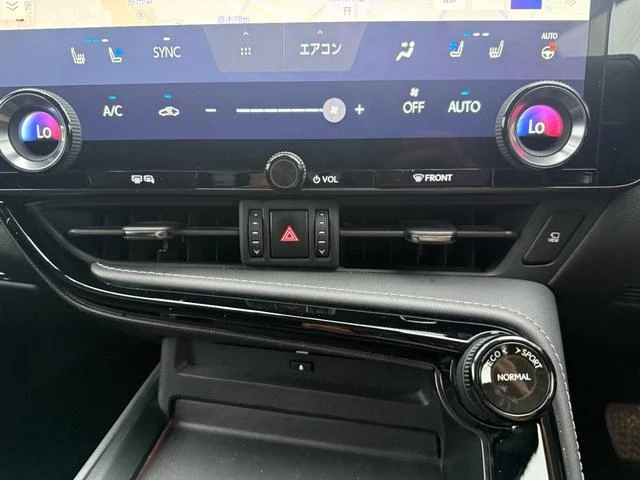 Lexus NX 12