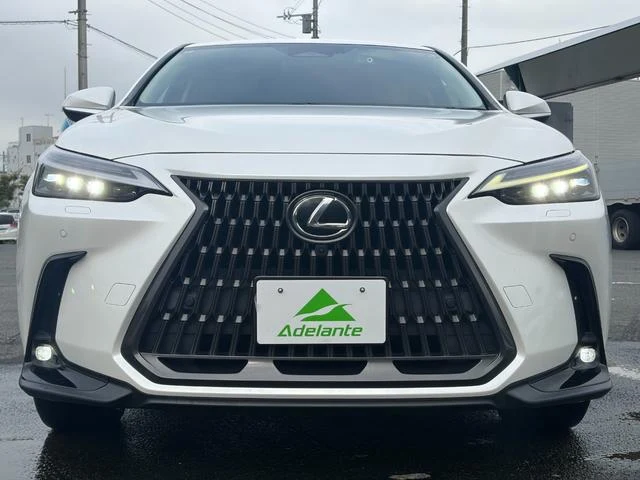 Lexus NX 53