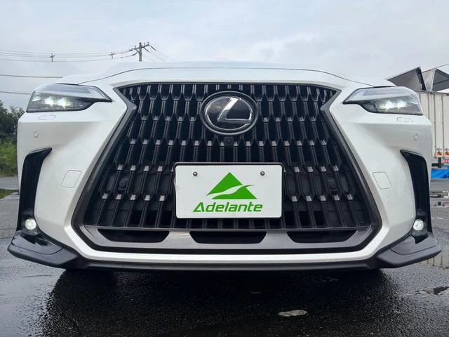 Lexus NX 54