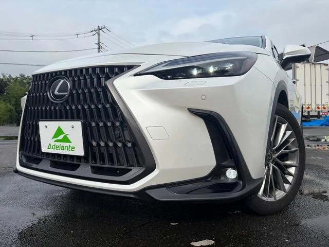 Lexus NX 51