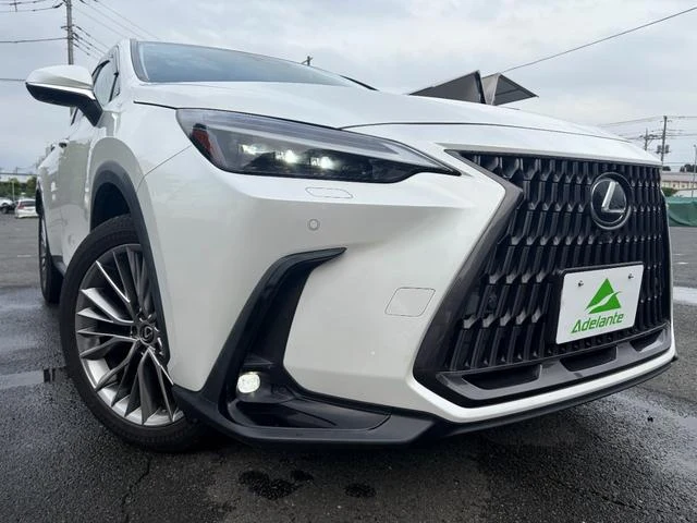 Lexus NX 57