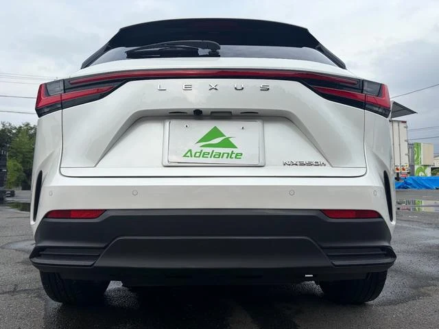 Lexus NX 63
