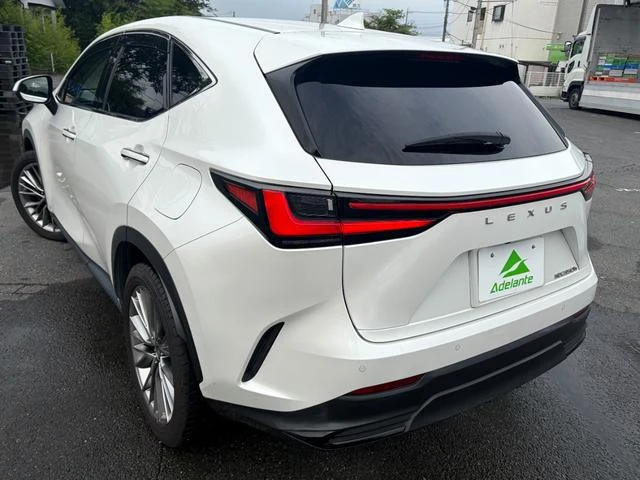 Lexus NX 67
