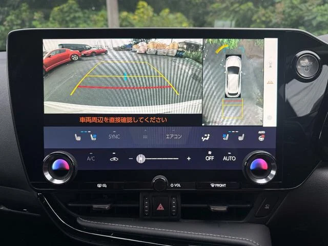 Lexus NX 11