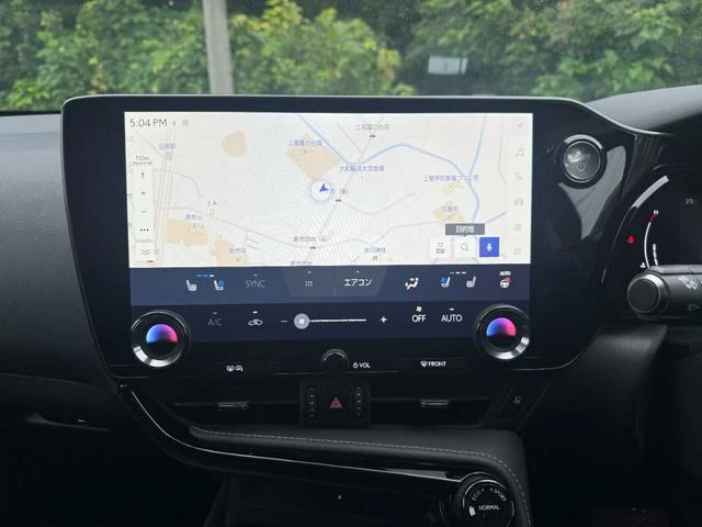 Lexus NX 6