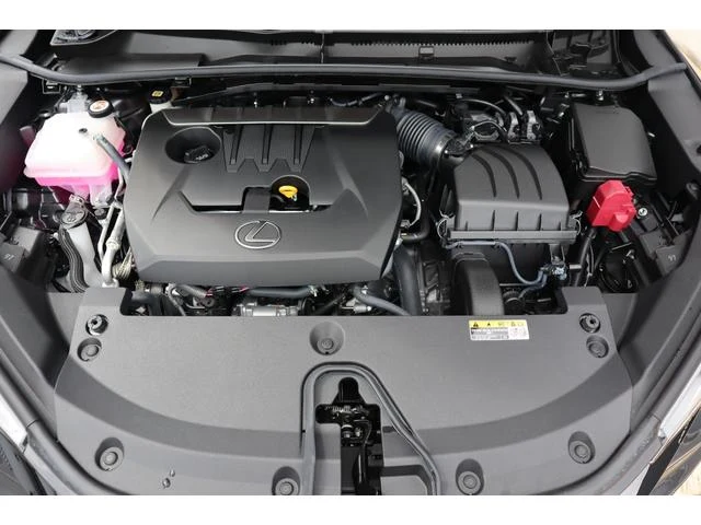 Lexus LBX 73