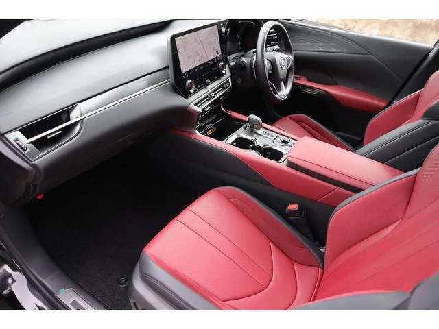 Lexus RX 48