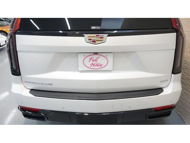 Cadillac ESCALADE 13