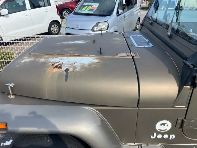 AMC JEEP JEEP 19