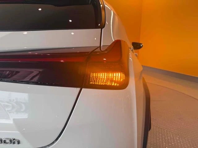 Lexus UX 38