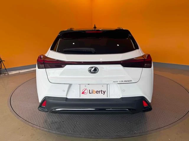Lexus UX 25