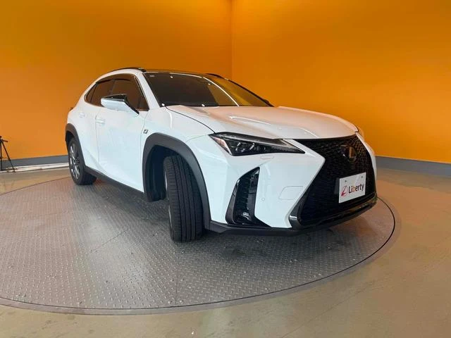 Lexus UX 22