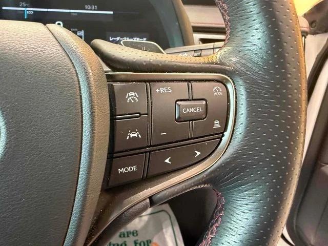 Lexus UX 10