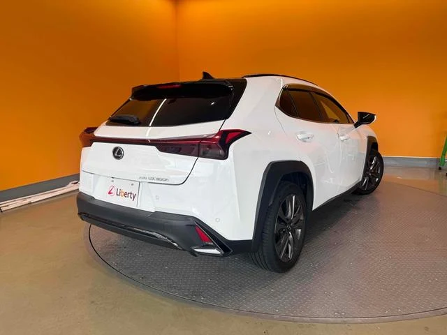 Lexus UX 24