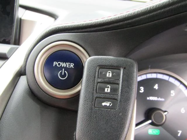 Lexus NX 25