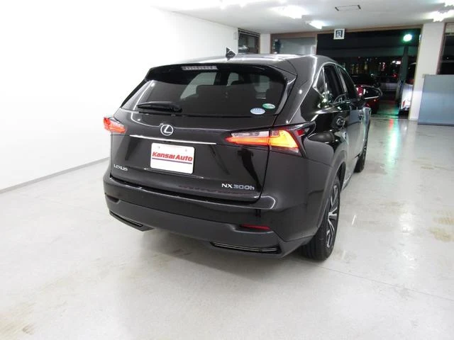 Lexus NX 63
