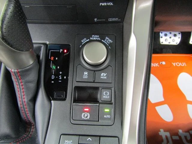 Lexus NX 16