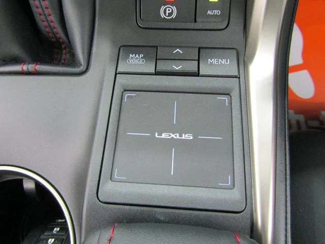 Lexus NX 17