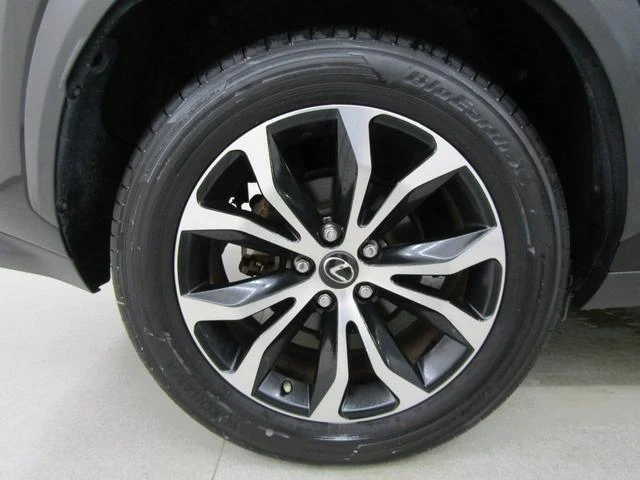 Lexus NX 57