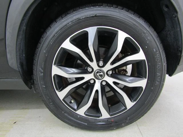 Lexus NX 58