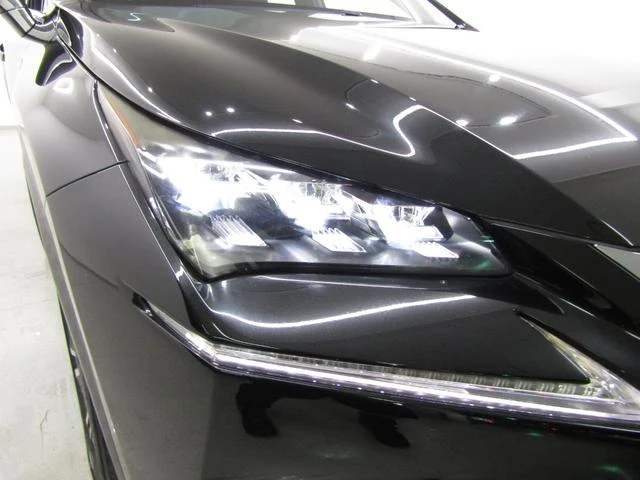 Lexus NX 49