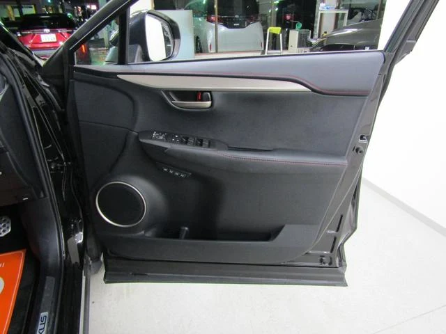 Lexus NX 39