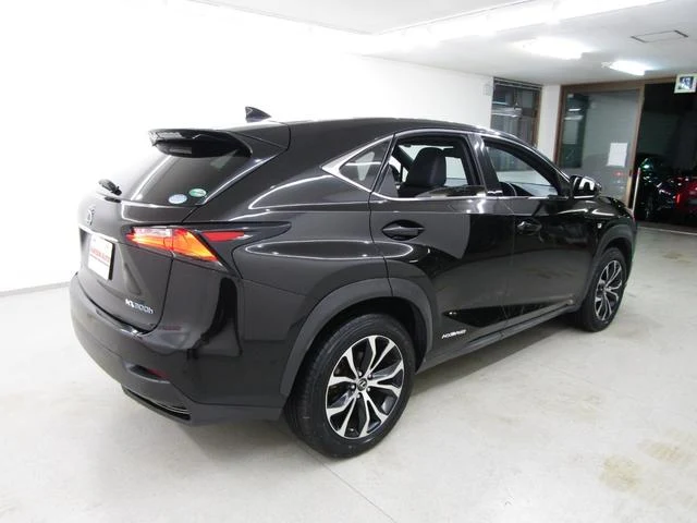 Lexus NX 62
