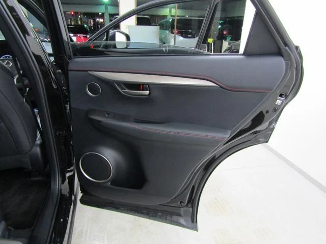 Lexus NX 41