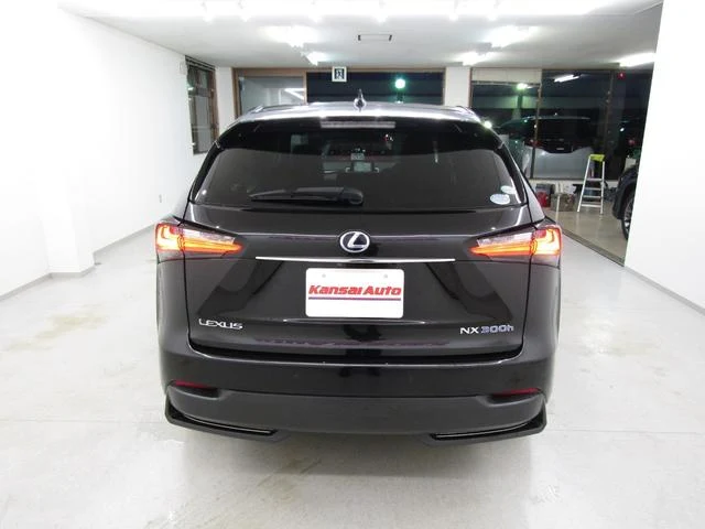Lexus NX 6
