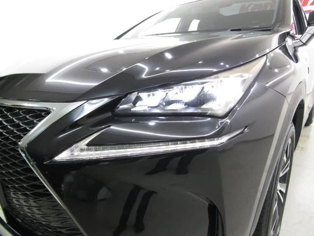 Lexus NX 51