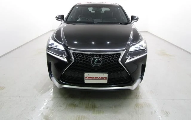 Lexus NX 60