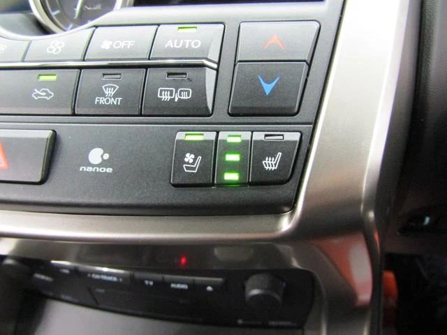 Lexus NX 13