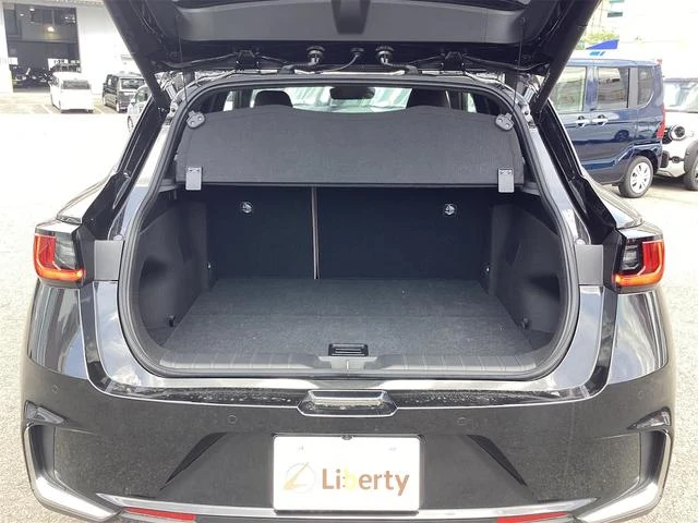 Lexus LBX 19