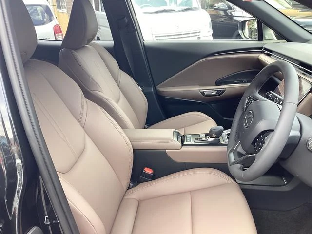 Lexus LBX 24