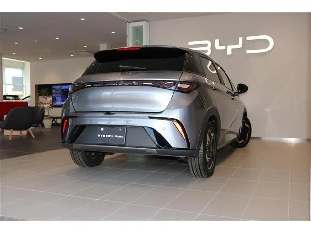 BYD DOLPHIN 13