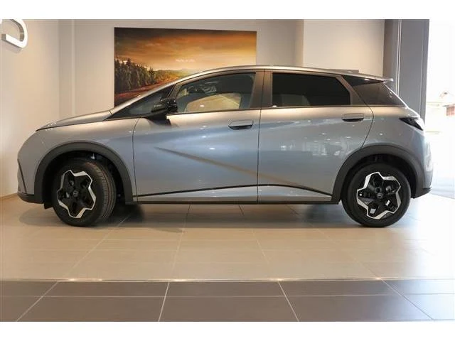 BYD DOLPHIN 12