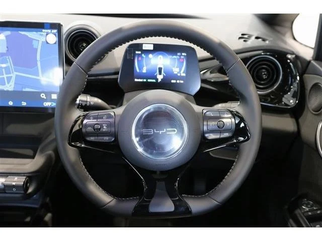 BYD DOLPHIN 3