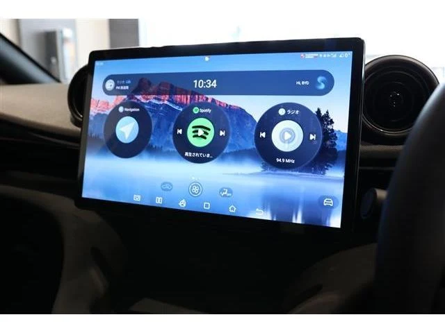 BYD DOLPHIN 7