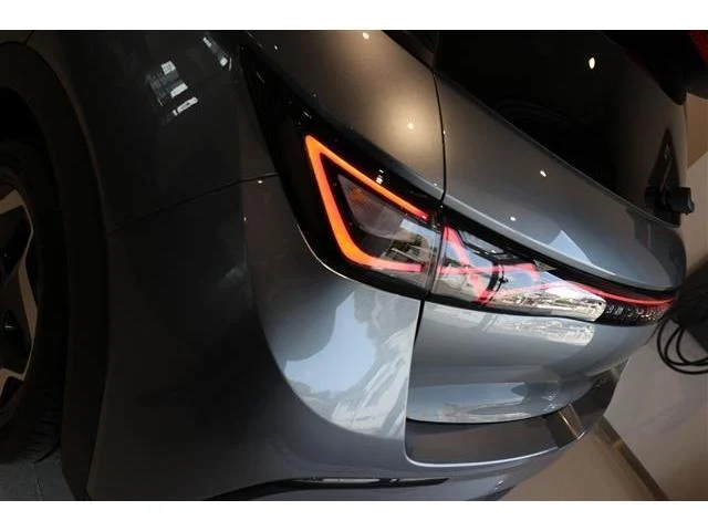 BYD DOLPHIN 24