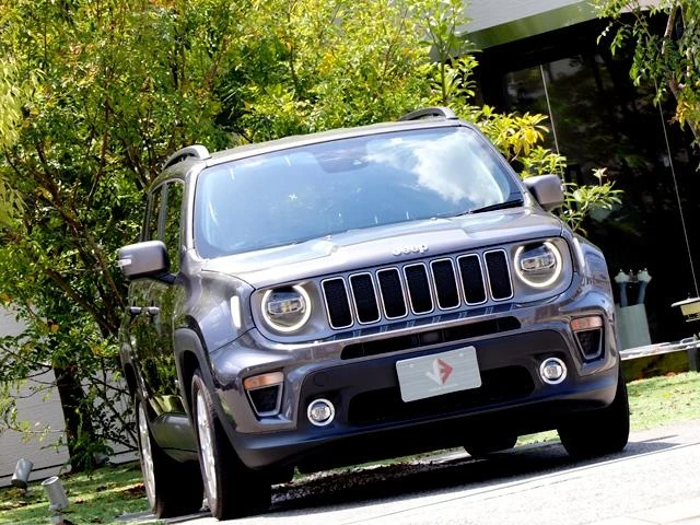 Chrysler JEEP 33