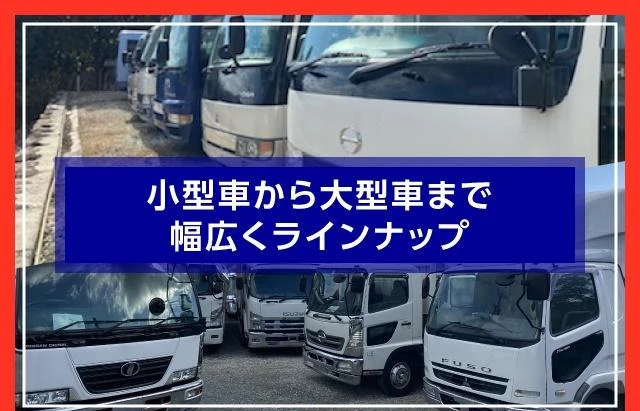 Hino DUTRO 65