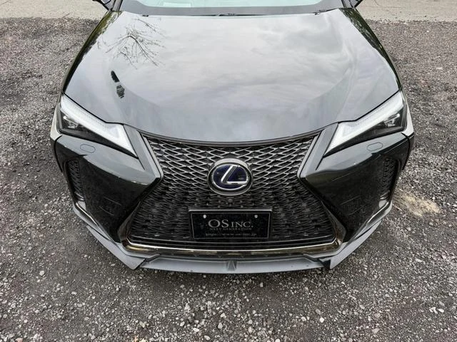 Lexus UX 20