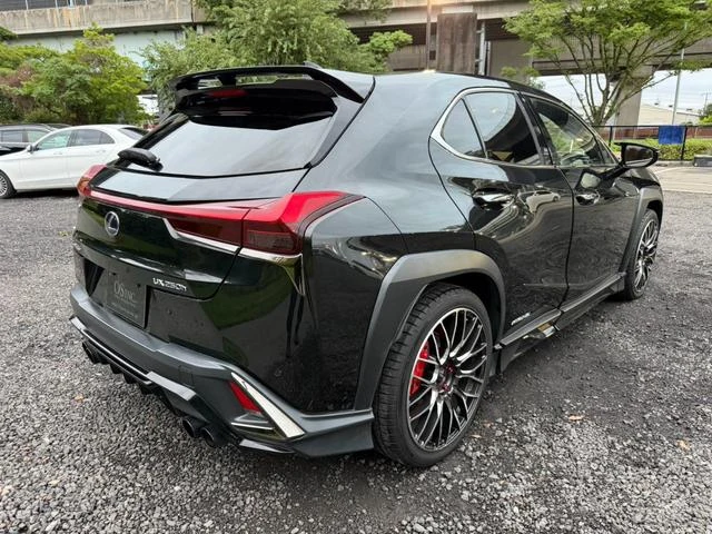 Lexus UX 25