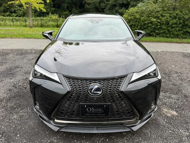 Lexus UX 21