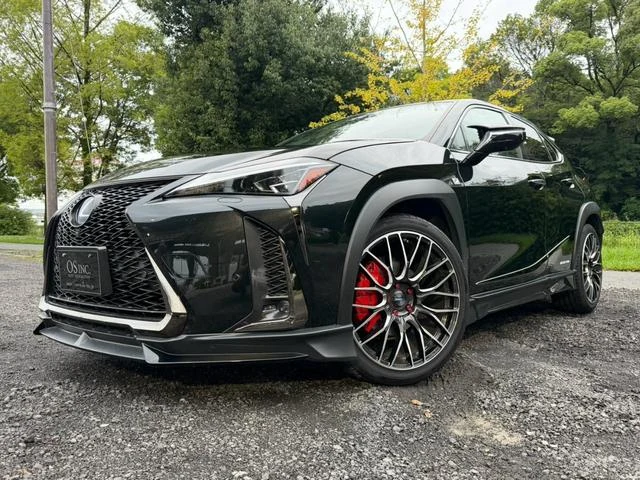 Lexus UX 6