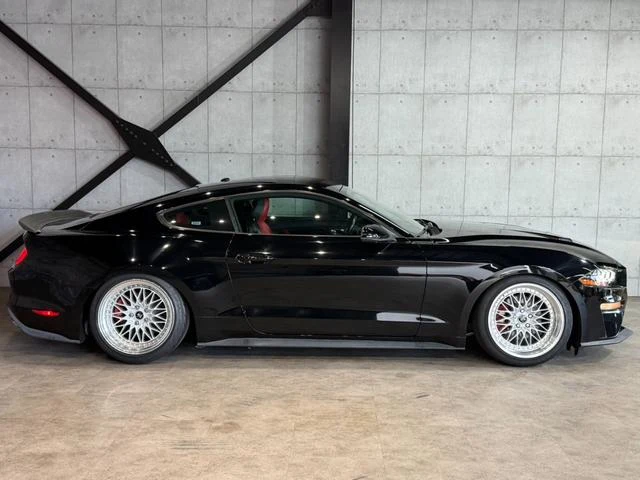 Ford MUSTANG 13