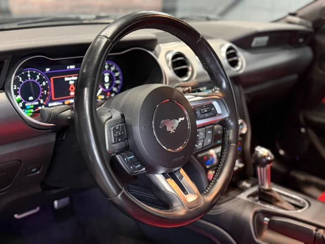 Ford MUSTANG 21